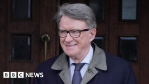 Leia mais sobre o artigo Qual é a estratégia de Mandelson para o encantador Trumpworld?