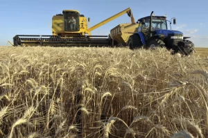 Leia mais sobre o artigo A receita agro-exporta da Argentina aumenta 45% em meio a cortes de impostos