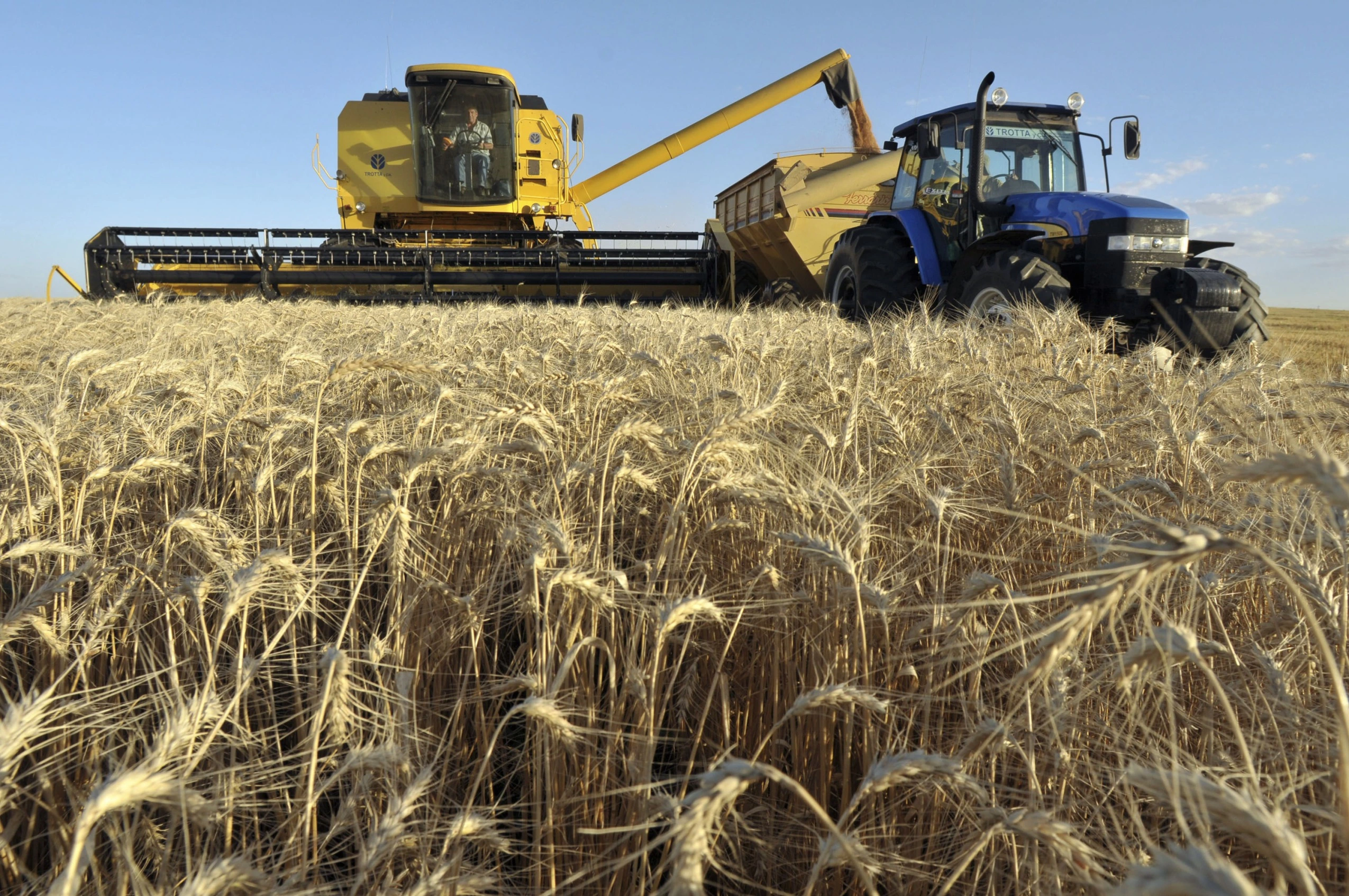 No momento, você está visualizando A receita agro-exporta da Argentina aumenta 45% em meio a cortes de impostos