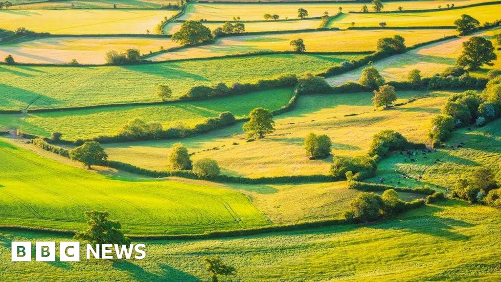 No momento, você está visualizando Fechamento do esquema ambiental Um ‘golpe quebrado’ para os agricultores