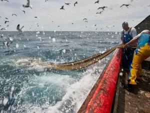 Leia mais sobre o artigo Guatemala se junta ao esforço global para combater a pesca prejudicial