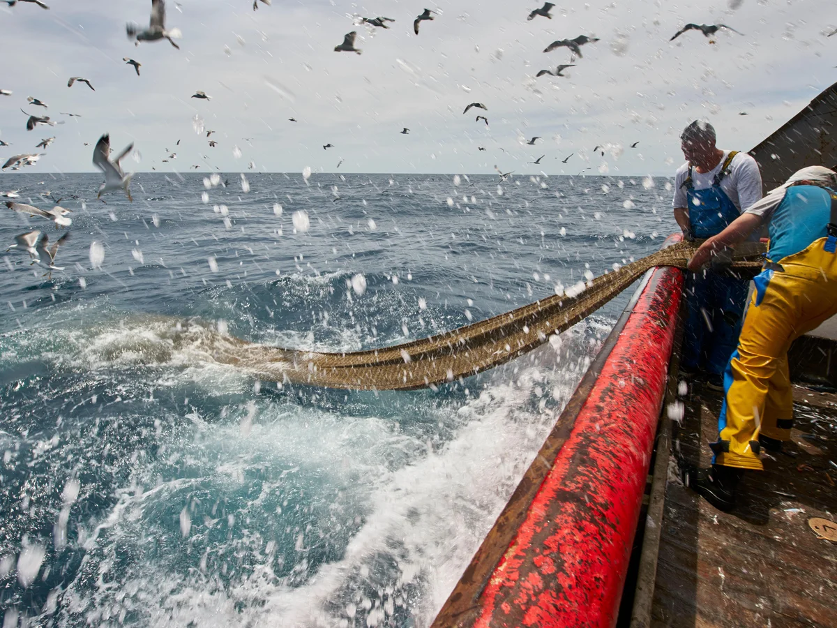 No momento, você está visualizando Guatemala se junta ao esforço global para combater a pesca prejudicial