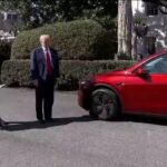 Trump procura reforçar Tesla, transformando a Casa Branca em um showroom de carro