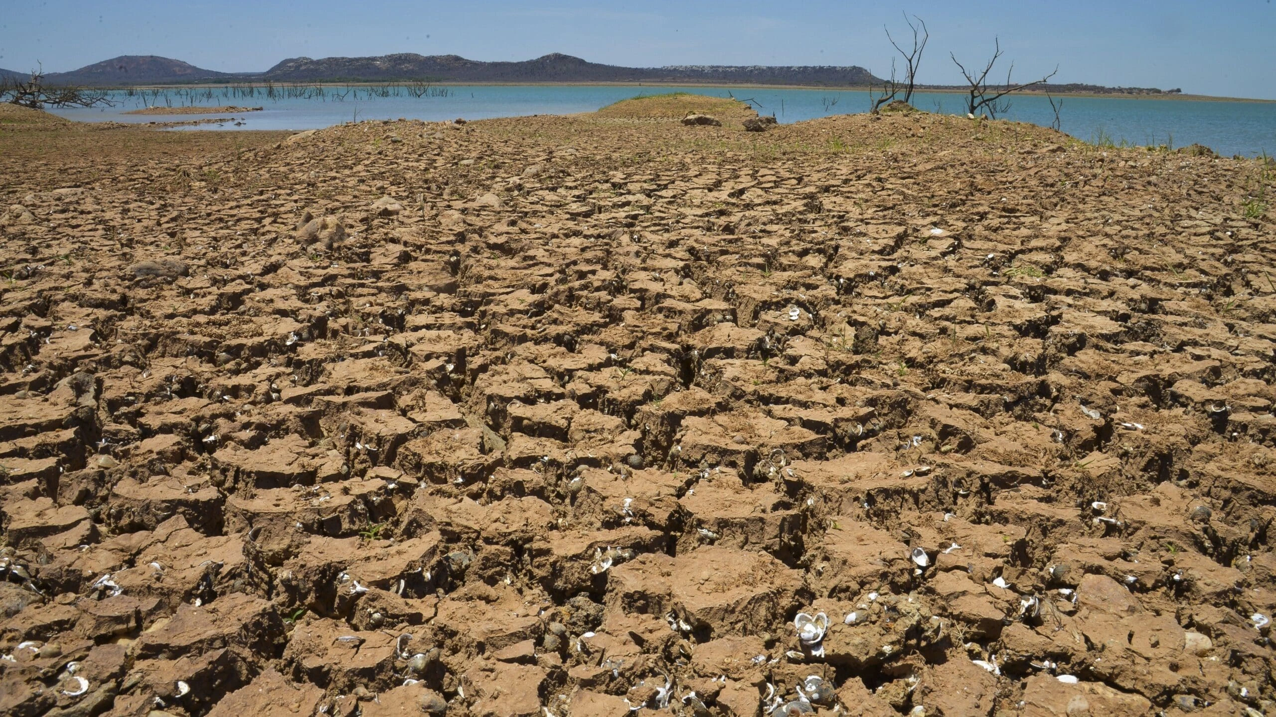 No momento, você está visualizando Brasil com sede: a água encolhe duas vezes o tamanho de São Paulo