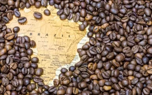 Leia mais sobre o artigo O Brasil domina o mercado global de café com US $ 13,48 bilhões em exportações no início de 2025