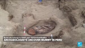 Leia mais sobre o artigo Restos de 5.000 anos de idade, nobre encontrado no Peru Dig