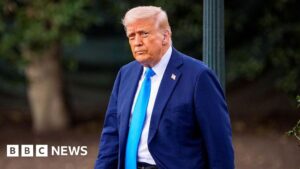 Leia mais sobre o artigo Trump pronto para remodelar a economia global