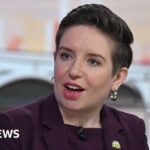 Carla Denyer não procurará a reeleição como co-líder do Partido Verde