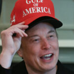 O conselho da Tesla começou a pesquisar para substituir Elon Musk como CEO, diz o relatório